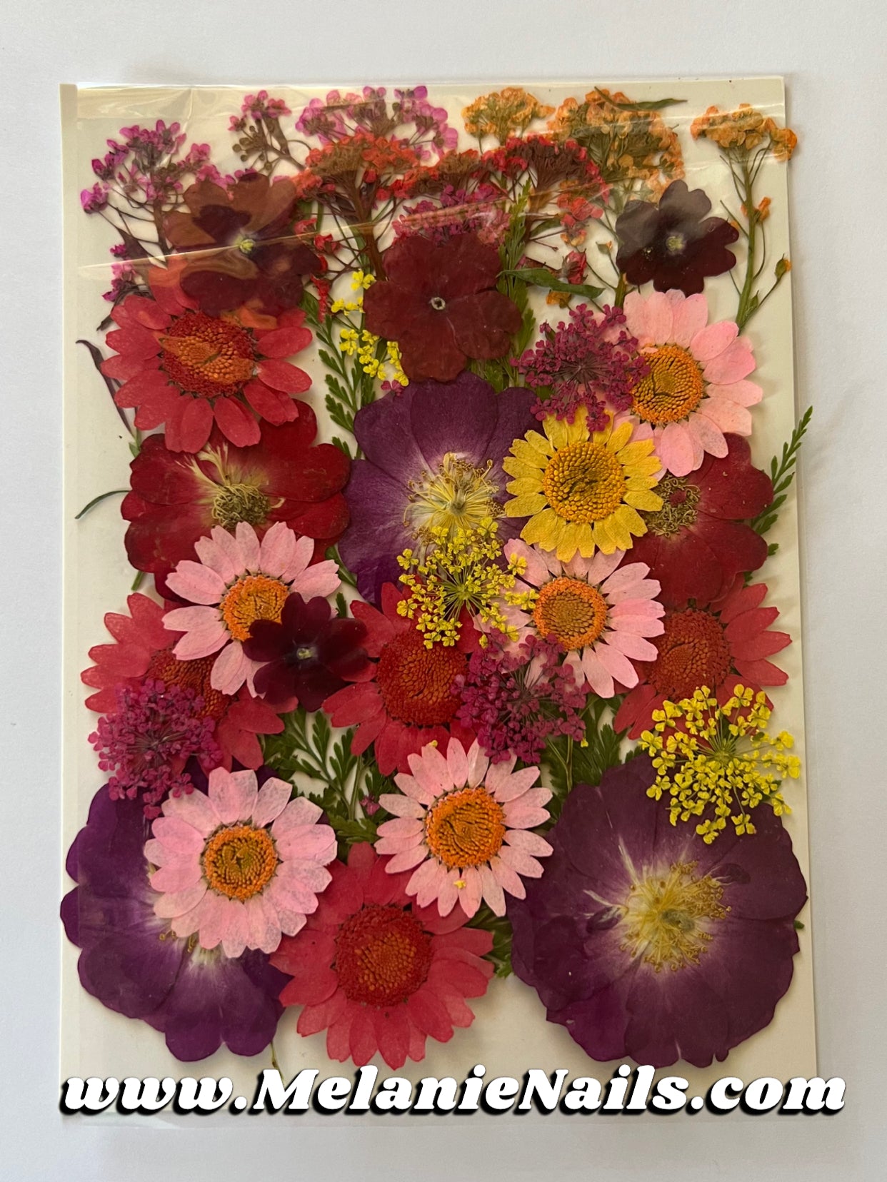 Mix Dried Flower Nail Art Pack
