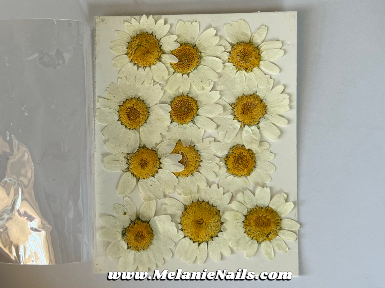 White Dried Flower Nail Art Pack